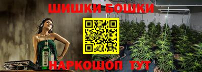 стаф Кулебаки