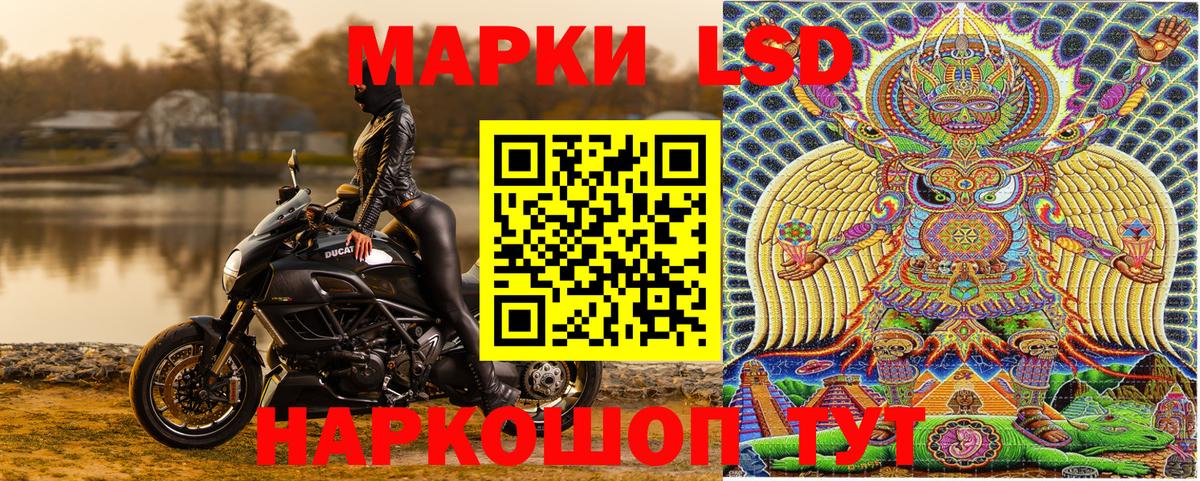 Наркотические марки 1500мкг  Вход с VPN  Каменск-Шахтинский 