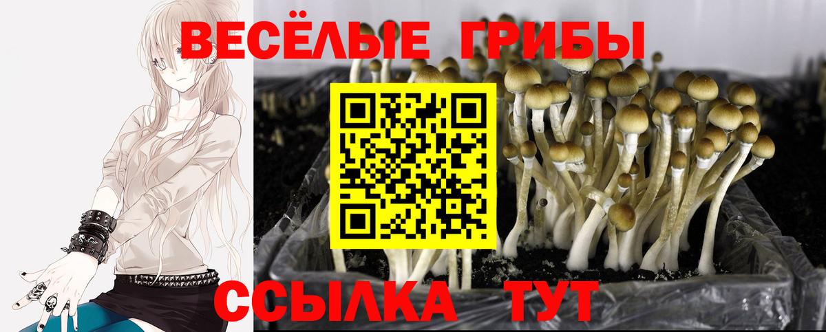 Галлюциногенные грибы ЛСД  Псилоцибиновые грибы мухоморы  Каменск-Шахтинский  Вход с VPN 