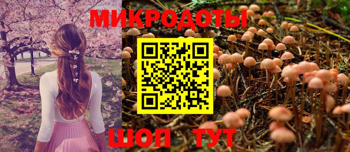 Галлюциногенные грибы мицелий Каменск-Шахтинский